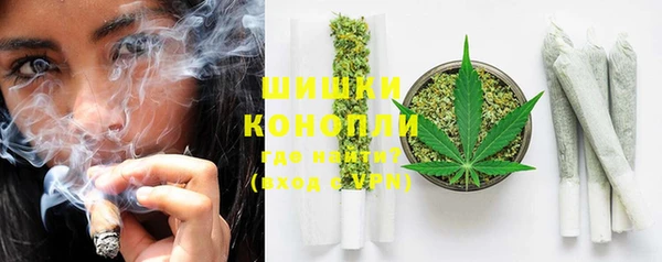 гидра Заводоуковск