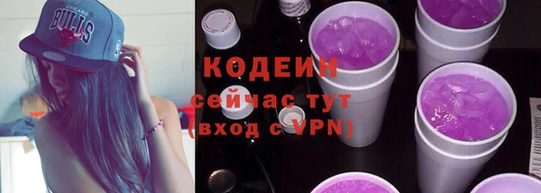 гидра Заводоуковск