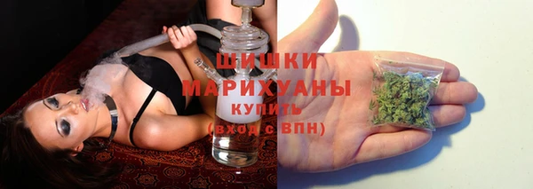 гидра Заводоуковск