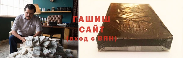 гидра Заводоуковск