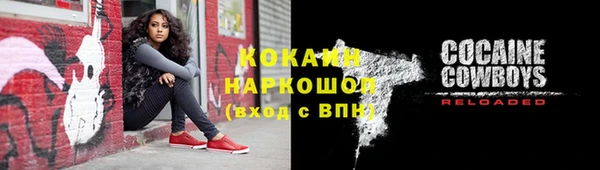 гидра Заводоуковск