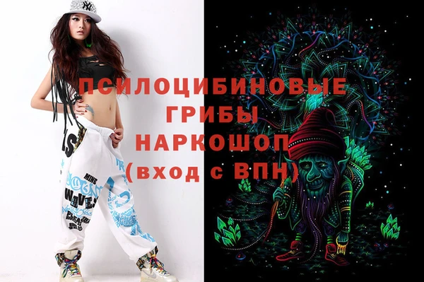 гидра Заводоуковск