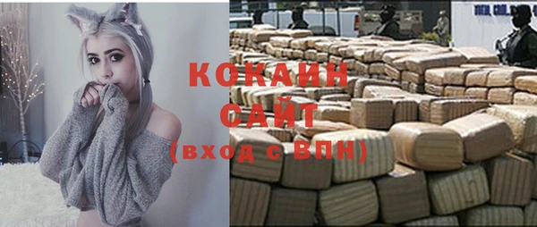гидра Заводоуковск