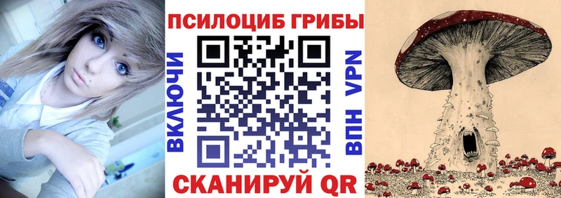Псилоцибиновые грибы мицелий  как найти наркотики  Калининск 